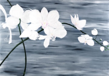 Yin beauty